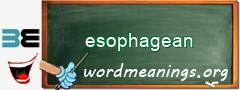WordMeaning blackboard for esophagean